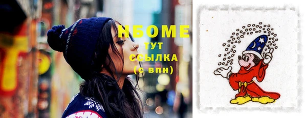 ПСИЛОЦИБИНОВЫЕ ГРИБЫ Новозыбков