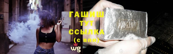 ПСИЛОЦИБИНОВЫЕ ГРИБЫ Новозыбков