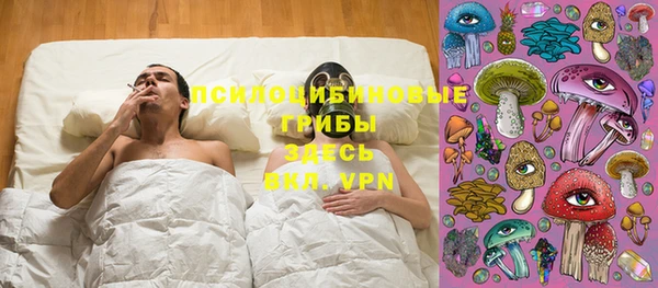 прущие грибы Новокубанск