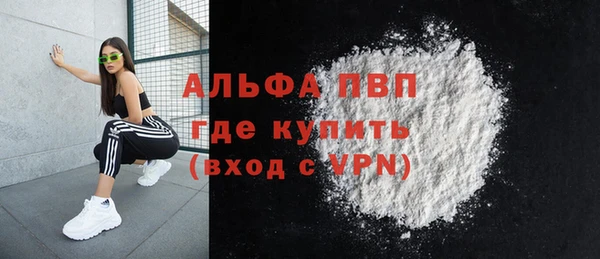 ПСИЛОЦИБИНОВЫЕ ГРИБЫ Новозыбков